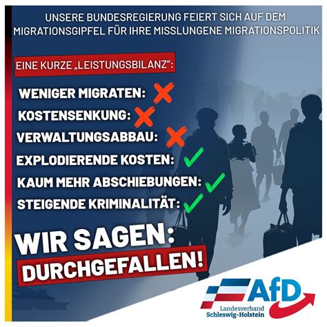 migrationspolitik afd